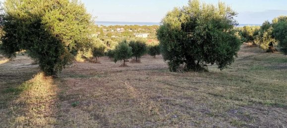 Земельный участок 6253м² в Захаро, Элида, Западная Греция, Пелопоннес, Западная Греция и Ионические острова, Греция № 93259 5