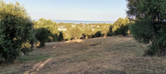 Земельный участок 6253м² в Захаро, Элида, Западная Греция, Пелопоннес, Западная Греция и Ионические острова, Греция № 93259 7
