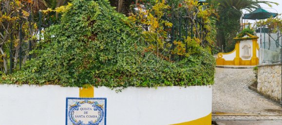 8 غرف نوم منزل في Torres Novas, Portugal رقم 49904 3