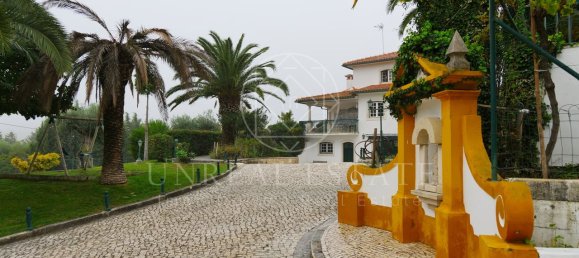 8 غرف نوم منزل في Torres Novas, Portugal رقم 49904 4