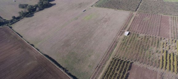 Grundstück in Correzzola, Italy, Nr. 312146 2