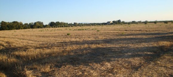 Grundstück in Correzzola, Italy, Nr. 312146 6