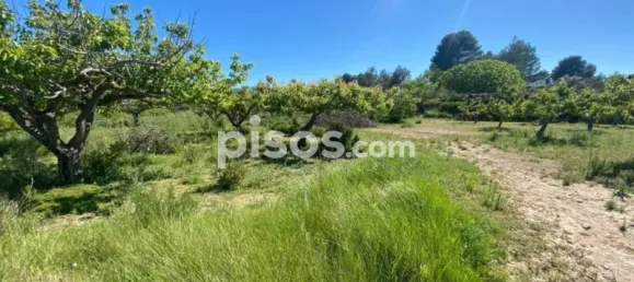 34m² Land in Valencia, Spain No. 138209 9