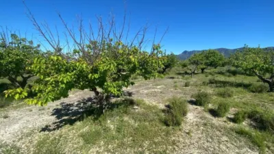 34m² Land in Valencia, Spain No. 138209