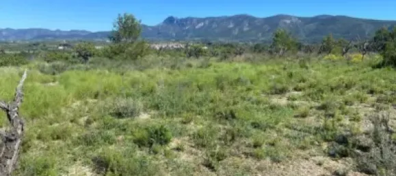 34m² Land in Valencia, Spain No. 138209 3