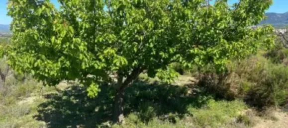 34m² Land in Valencia, Spain No. 138209 4