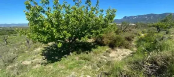 34m² Land in Valencia, Spain No. 138209 5
