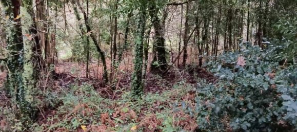 Terrain à Viana do Castelo, Portugal No. 80715 7