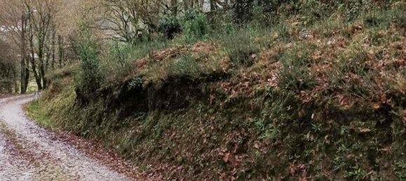 Terrain à Viana do Castelo, Portugal No. 80715 18