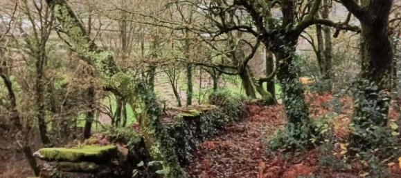 Terrain à Viana do Castelo, Portugal No. 80715 16