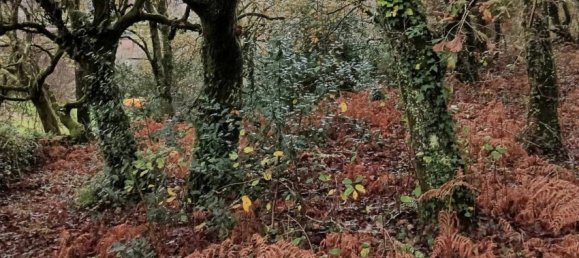 Terrain à Viana do Castelo, Portugal No. 80715 4