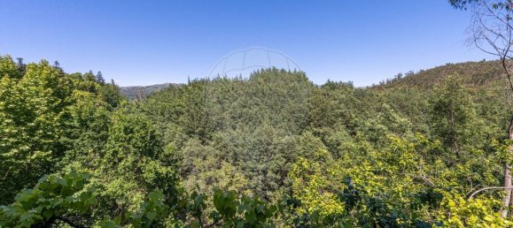 6 bedrooms House in Vieira do Minho, Portugal No. 159004 5