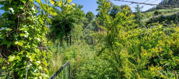 6 bedrooms House in Vieira do Minho, Portugal No. 159004 14