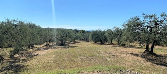 7 rooms House in Certaldo, Italy No. 121374 3