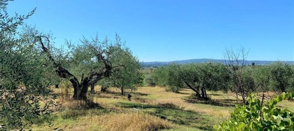 7 rooms House in Certaldo, Italy No. 121374 5