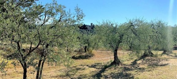 7 rooms House in Certaldo, Italy No. 121374 4