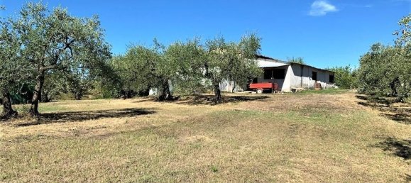 7 rooms House in Certaldo, Italy No. 121374 9