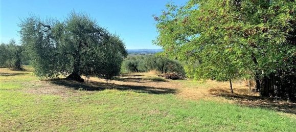 7 rooms House in Certaldo, Italy No. 121374 6