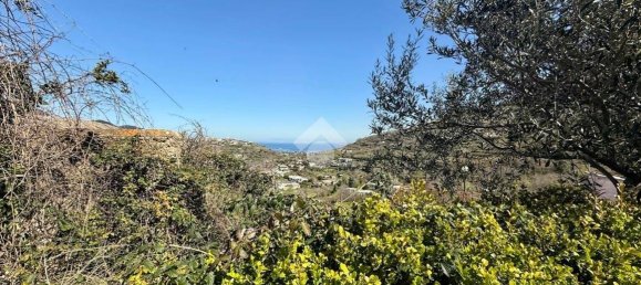 1 bedroom Apartment in Barano d'Ischia, Italy No. 93186 8