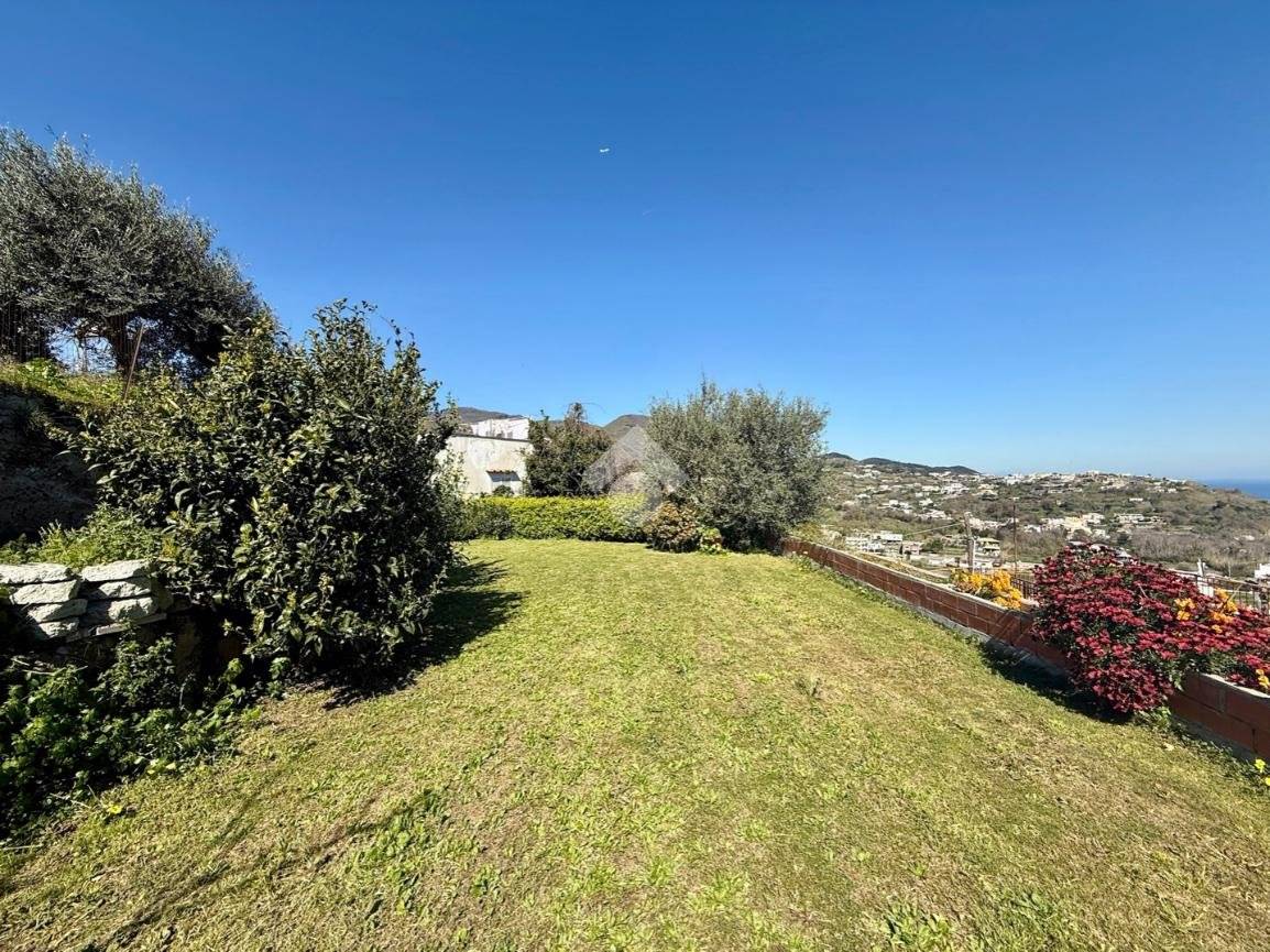 1 bedroom Apartment in Barano d'Ischia, Italy No. 93186