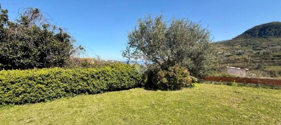 1 bedroom Apartment in Barano d'Ischia, Italy No. 93186 31