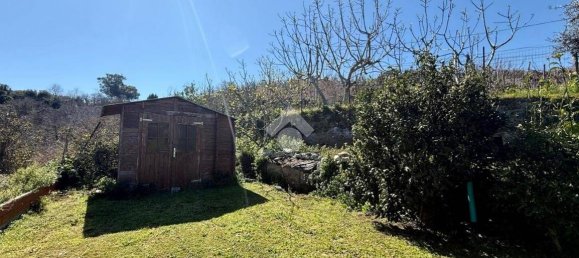 1 bedroom Apartment in Barano d'Ischia, Italy No. 93186 3