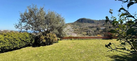 1 bedroom Apartment in Barano d'Ischia, Italy No. 93186 4