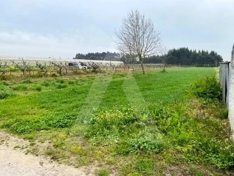 Grundstück in Aveiro, Portugal, Nr. 89433