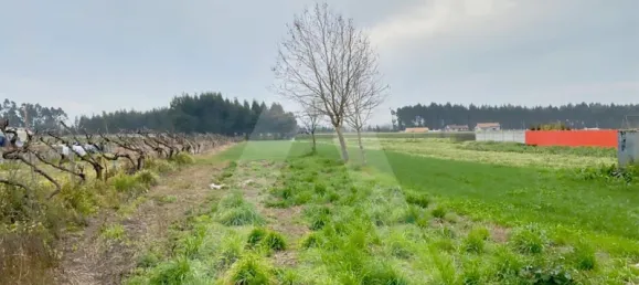 Grundstück in Aveiro, Portugal, Nr. 89433 5