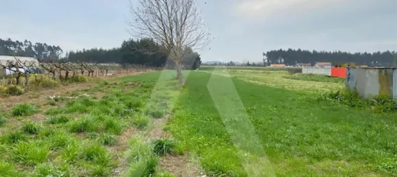 Grundstück in Aveiro, Portugal, Nr. 89433 4