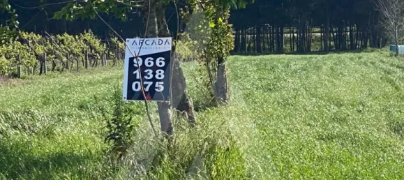 Grundstück in Aveiro, Portugal, Nr. 89433 7