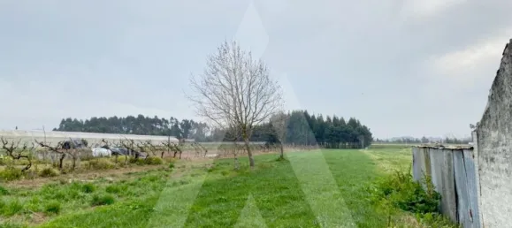 Grundstück in Aveiro, Portugal, Nr. 89433 2