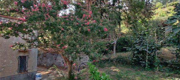 Вилла с 4 комнатами в Монреале, Италия № 82203 11