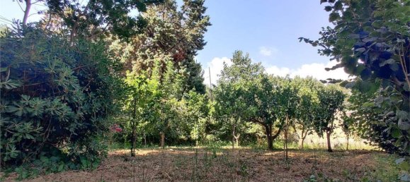 Вилла с 4 комнатами в Монреале, Италия № 82203 14