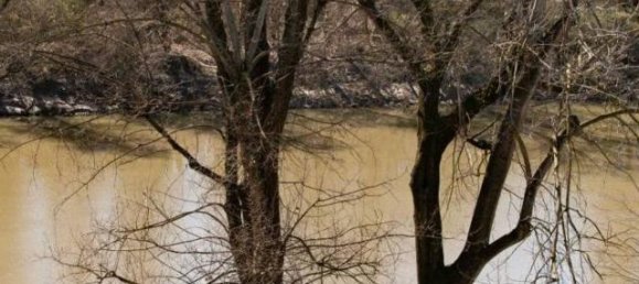 Studio in Turin, Italy No. 109691 21