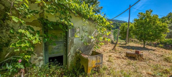 3 غرف نوم منزل في Ribeira de Pena, Portugal رقم 185585 17