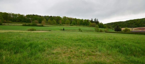 Grundstück in Neustift bei Güssing, Austria, Nr. 165099 2