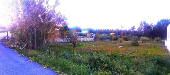 Grundstück in Marinha Grande, Portugal 2170m², Nr. 64112 8