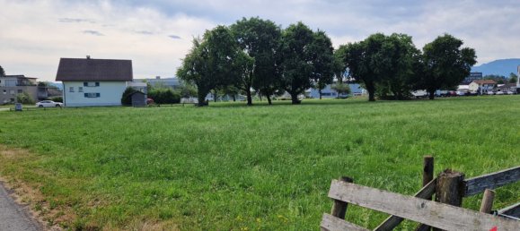 Land in Fussach, Austria No. 162155 5