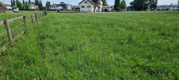 Land in Fussach, Austria No. 162155 3