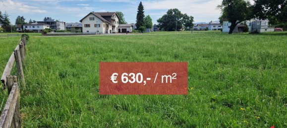 Land in Fussach, Austria No. 162155 2