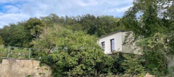 Земельный участок в Саксония, Германия № 237106 5