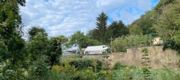 Земельный участок в Саксония, Германия № 237106 7