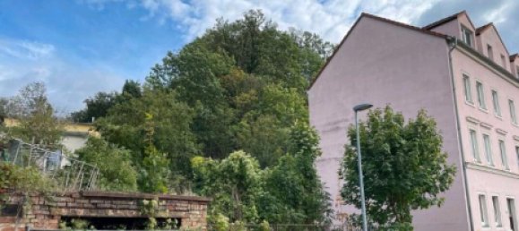 Земельный участок в Саксония, Германия № 237106 12