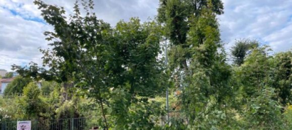 Земельный участок в Саксония, Германия № 237106 11