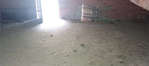 5 rooms Apartment in Perloz, Italy No. 116077 24