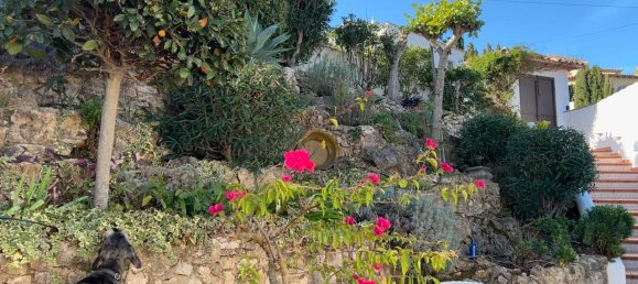 4 غرف نوم فيلا في Pedreguer, Spain رقم 9838 3