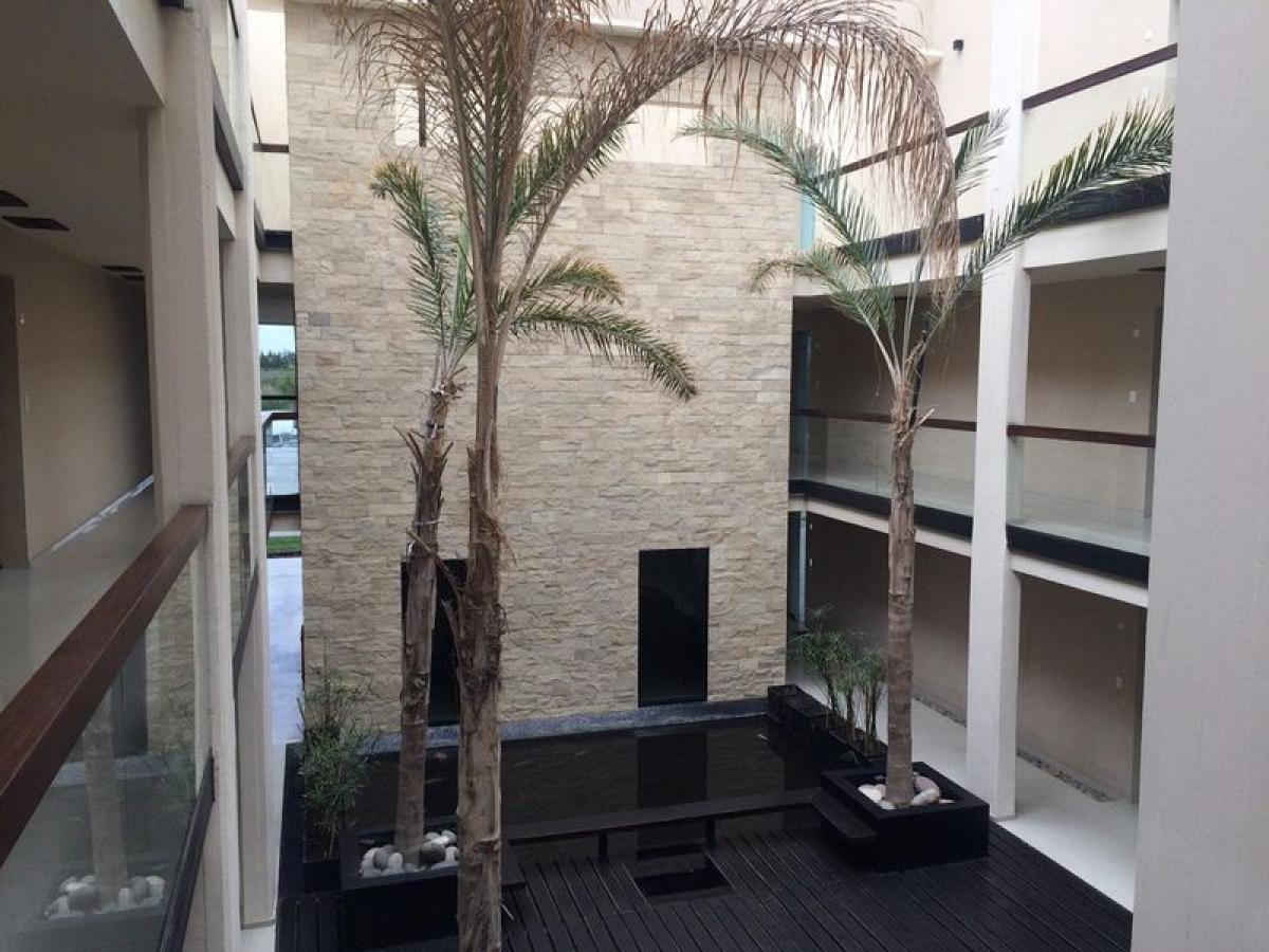 76m² Office in Tigre, Argentina No. 29634