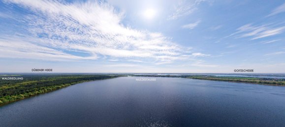 4 rooms Land in Anhalt-Bitterfeld, Germany No. 287400 2