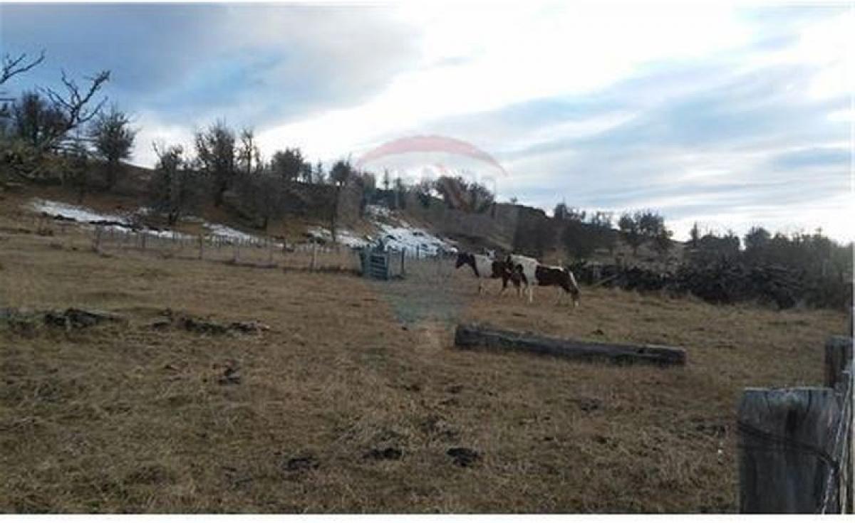 Земельный участок в Айсен, Чили № 1124